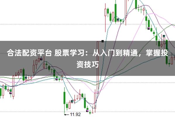 合法配资平台 股票学习：从入门到精通，掌握投资技巧