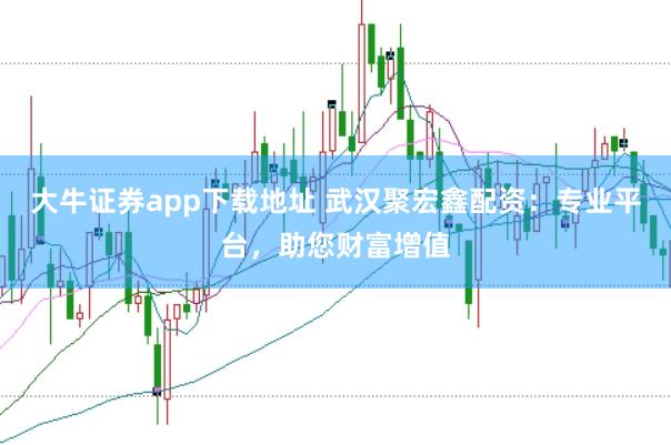 大牛证券app下载地址 武汉聚宏鑫配资：专业平台，助您财富增值