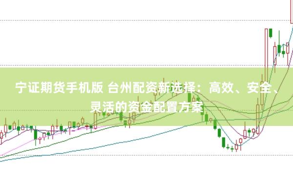 宁证期货手机版 台州配资新选择：高效、安全、灵活的资金配置方案