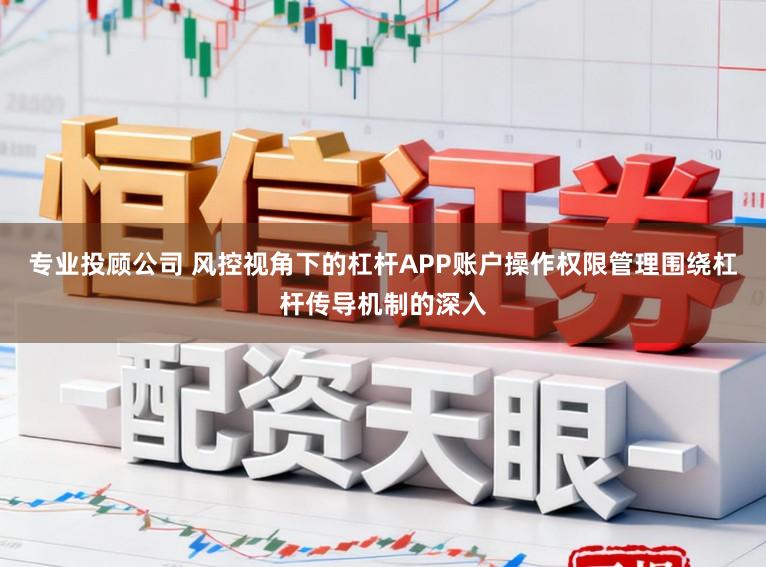 专业投顾公司 风控视角下的杠杆APP账户操作权限管理围绕杠杆传导机制的深入