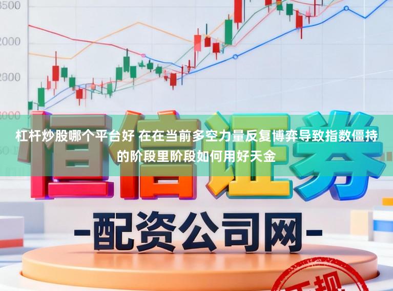 杠杆炒股哪个平台好 在在当前多空力量反复博弈导致指数僵持的阶段里阶段如何用好天金