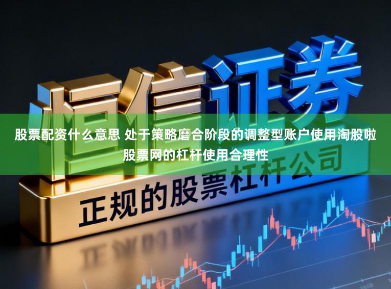 股票配资什么意思 处于策略磨合阶段的调整型账户使用淘股啦股票网的杠杆使用合理性