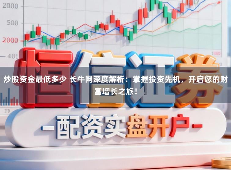 炒股资金最低多少 长牛网深度解析：掌握投资先机，开启您的财富增长之旅！